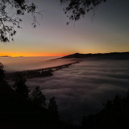 Uciek Tengger Bromo Ngadisari Exterior photo