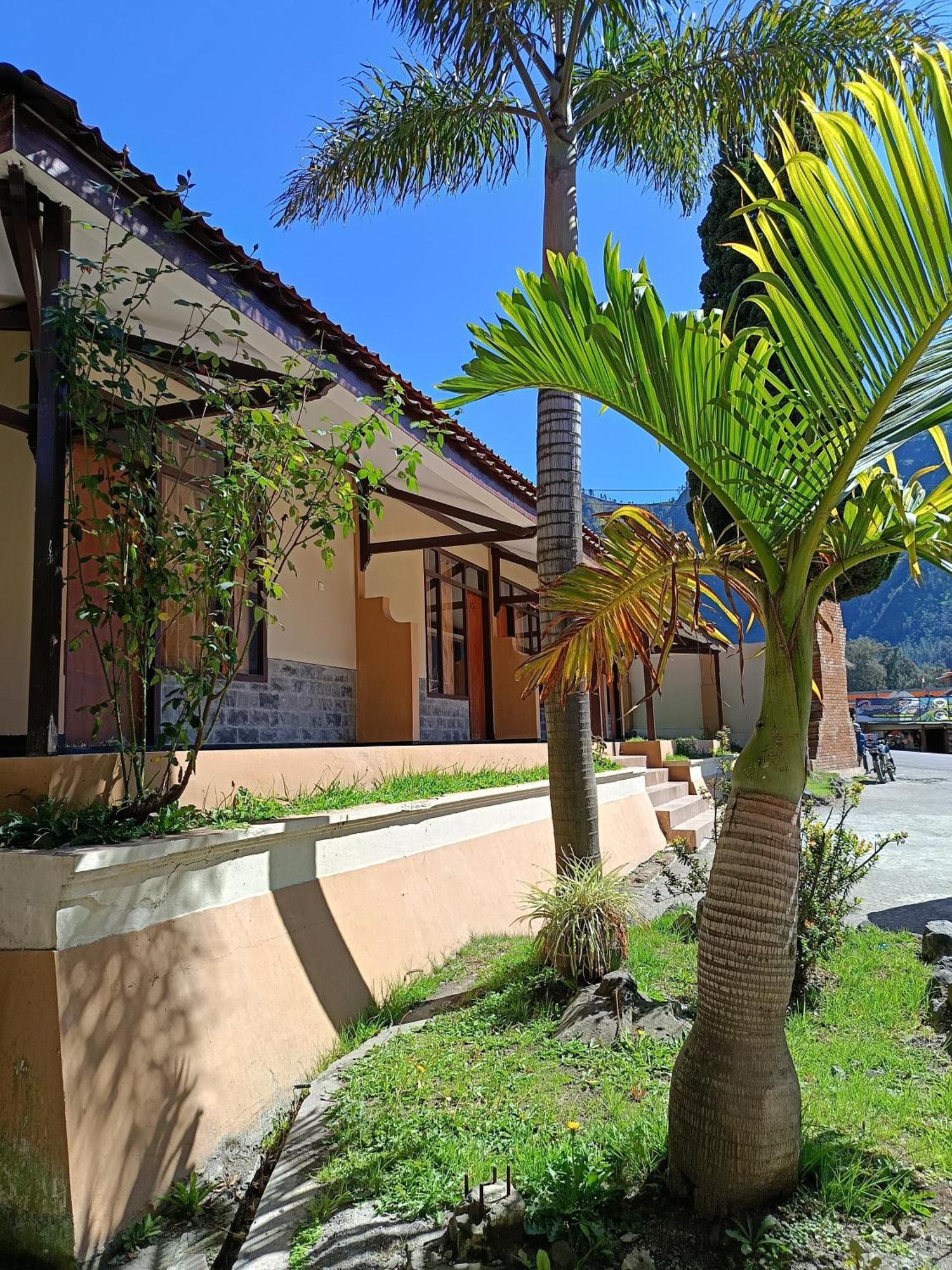 Uciek Tengger Bromo Ngadisari Exterior photo